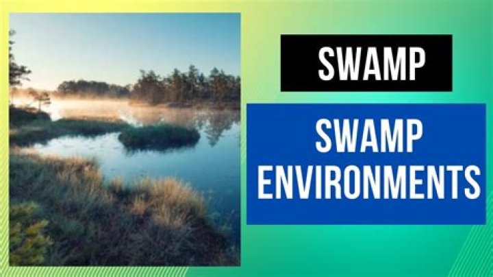 Do snow Swamps count as basic Swamps?