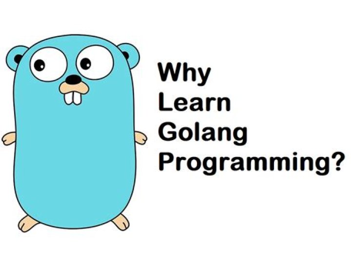 Where can I learn Golang?